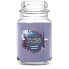 Moonlit Woods